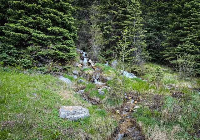 Homes for sale in Pony, MT | Nhn (160 Acres) Charcoal Creek, Pony, MT 59747 | MLS# 30060561
