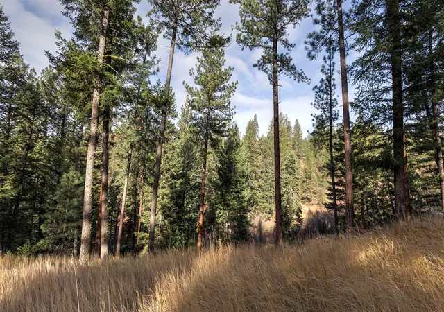 Photo 4 of Land for sale at Parcel 3b Snowshoe Ln, Missoula, MT 59803 | MLS# 30060610 | Listing updated on 2026-07-22