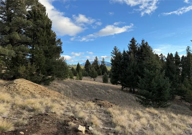Homes for sale in Philipsburg, MT | Lot 3 Scranton Lode, Philipsburg, MT 59858 | MLS# 30060682