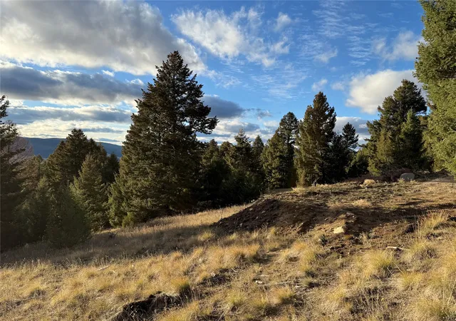 Homes for sale in Philipsburg, MT | Lot 3 Scranton Lode, Philipsburg, MT 59858 | MLS# 30060682