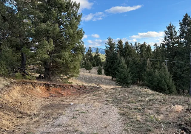 Homes for sale in Philipsburg, MT | Lot 3 Scranton Lode, Philipsburg, MT 59858 | MLS# 30060682
