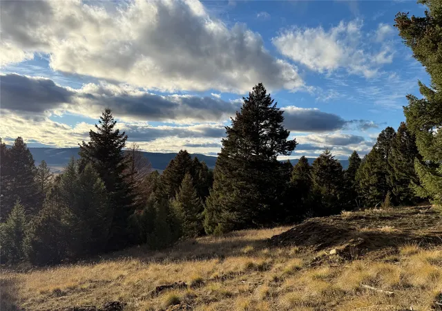 Homes for sale in Philipsburg, MT | Lot 3 Scranton Lode, Philipsburg, MT 59858 | MLS# 30060682