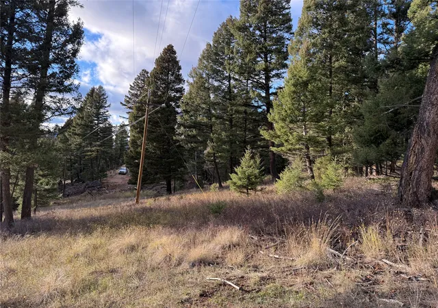 Homes for sale in Philipsburg, MT | Lot 5 Scranton Lode, Philipsburg, MT 59858 | MLS# 30060684