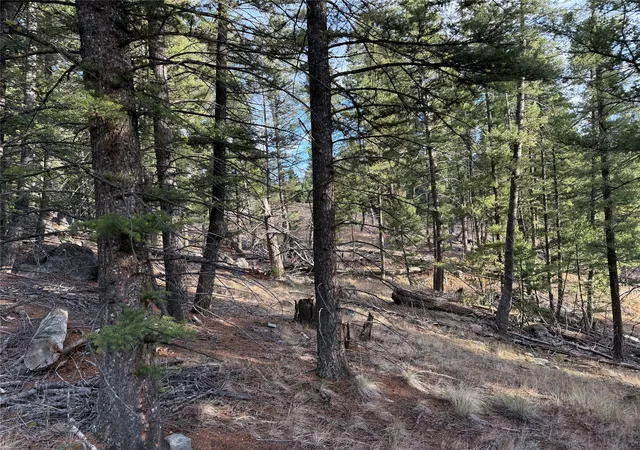 Homes for sale in Philipsburg, MT | Lot 5 Scranton Lode, Philipsburg, MT 59858 | MLS# 30060684