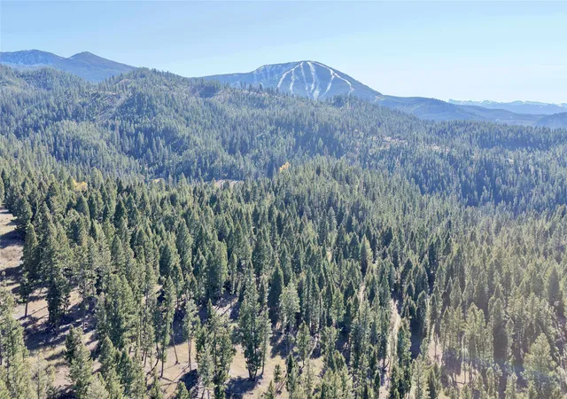 Homes for sale in Philipsburg, MT | Lot 5 Scranton Lode, Philipsburg, MT 59858 | MLS# 30060684