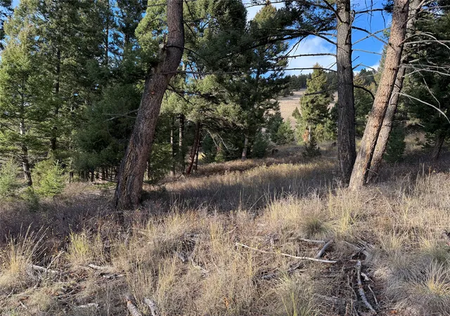 Homes for sale in Philipsburg, MT | Lot 5 Scranton Lode, Philipsburg, MT 59858 | MLS# 30060684