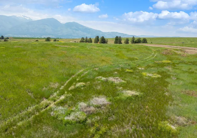 Homes for sale in Florence, MT | 141 Turnstone Way, Florence, MT 59833 | MLS# 30060602