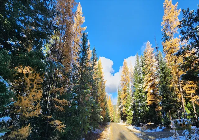 1st image of Lot 8 Tamarack Lane, Rexford, MT 59930 | MLS# 30060946