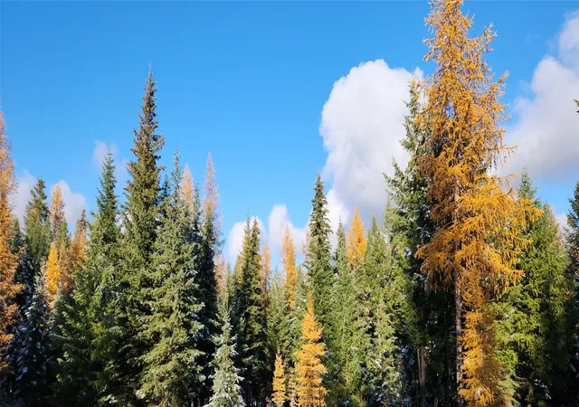 2nd image of Lot 8 Tamarack Lane, Rexford, MT 59930 | MLS# 30060946