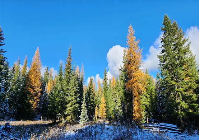 Photo 3 of Land for sale at Lot 8 Tamarack Ln, Rexford, MT 59930 | MLS# 30060946 | Listing updated on 2026-07-10