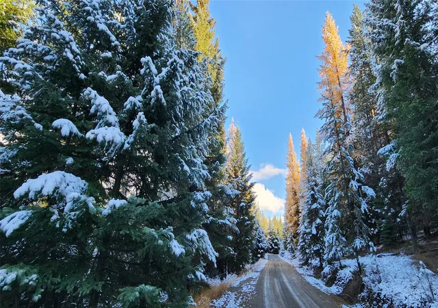 Photo 4 of Land for sale at Lot 8 Tamarack Ln, Rexford, MT 59930 | MLS# 30060946 | Listing updated on 2026-07-10