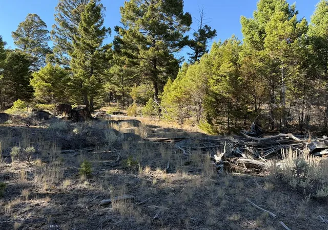 Homes for sale in Whitehall, MT | 91 Upper Rader Creek Rd, Whitehall, MT 59759 | MLS# 30061100