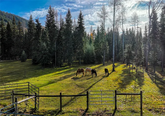 Homes for sale in Kila, MT | 2503 Wild Bill Rd, Kila, MT 59920 | MLS# 30061209