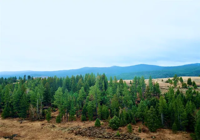 17th image of 0 Strandskov Rd, Lincoln, MT 59639 | MLS# 30061474