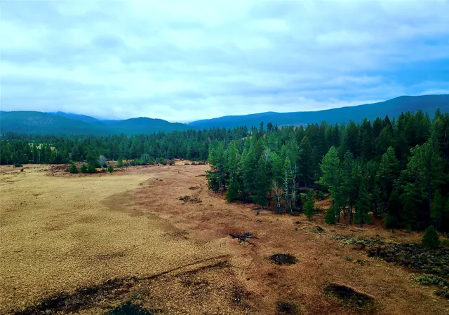 3rd image of 0 Strandskov Rd, Lincoln, MT 59639 | MLS# 30061474