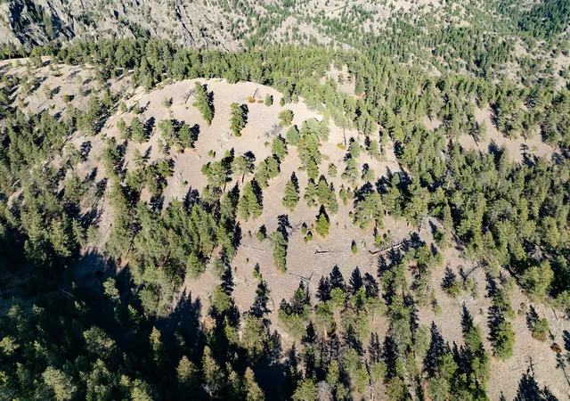 3rd image of Tbd Big Pine Ln, Cascade, MT 59421 | MLS# 30061548