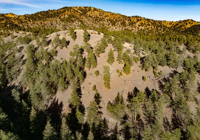 4th image of Tbd Big Pine Ln, Cascade, MT 59421 | MLS# 30061548