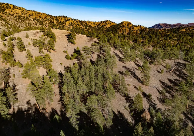 5th image of Tbd Big Pine Ln, Cascade, MT 59421 | MLS# 30061548