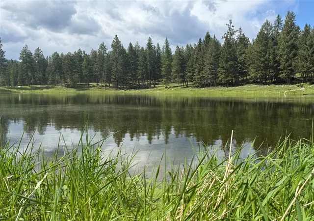 Homes for sale in Rexford, MT | 465 & Nhn W Dodge Creek Rd, Rexford, MT 59930 | MLS# 30061551