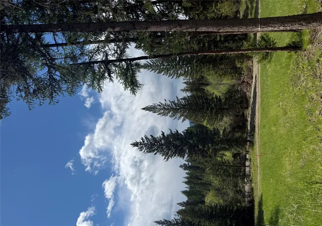 Homes for sale in Rexford, MT | 465 & Nhn W Dodge Creek Rd, Rexford, MT 59930 | MLS# 30061551