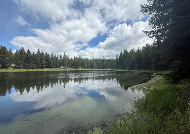 Homes for sale in Rexford, MT | 465 & Nhn W Dodge Creek Rd, Rexford, MT 59930 | MLS# 30061551