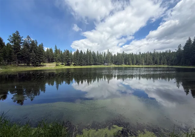 Homes for sale in Rexford, MT | 465 & Nhn W Dodge Creek Rd, Rexford, MT 59930 | MLS# 30061551