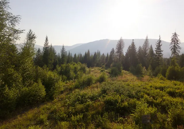 2nd image of 15b Lakota Loop, Troy, MT 59935 | MLS# 30061562