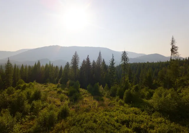 5th image of 15B Lakota Loop, Troy, MT 59935 | MLS# 30061562