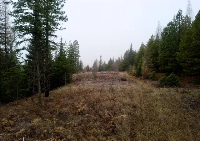 Homes for sale in Troy, MT | 15a Shoshone Trail, Troy, MT 59935 | MLS# 30061560