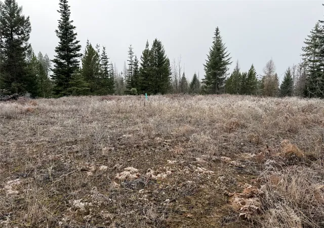 Homes for sale in Troy, MT | 15A Shoshone Trail, Troy, MT 59935 | MLS# 30061560