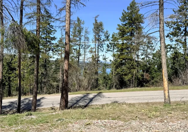 34th image of 100 Political Hl, Lakeside, MT 59922 | MLS# 30061719
