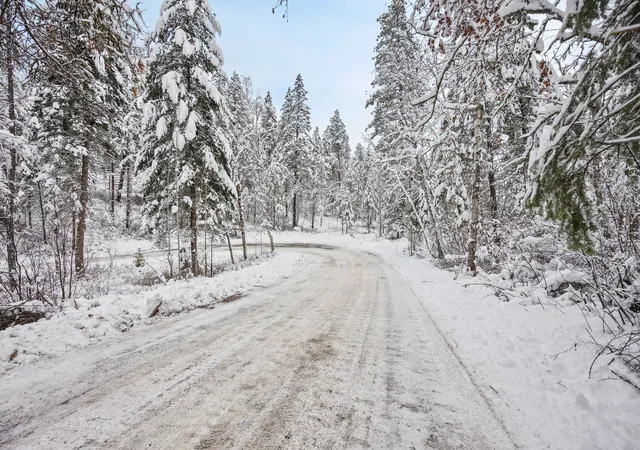4th image of 375 Ranch Rd, Bigfork, MT 59911 | MLS# 30061807