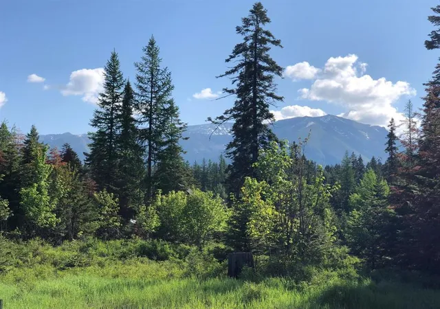 Homes for sale in Bigfork, MT | 13523 Sundance Trl, Bigfork, MT 59911 | MLS# 30062248