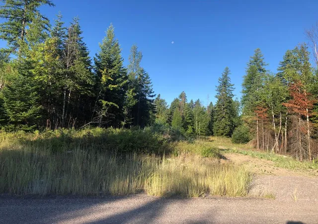 Homes for sale in Bigfork, MT | 13523 Sundance Trl, Bigfork, MT 59911 | MLS# 30062248
