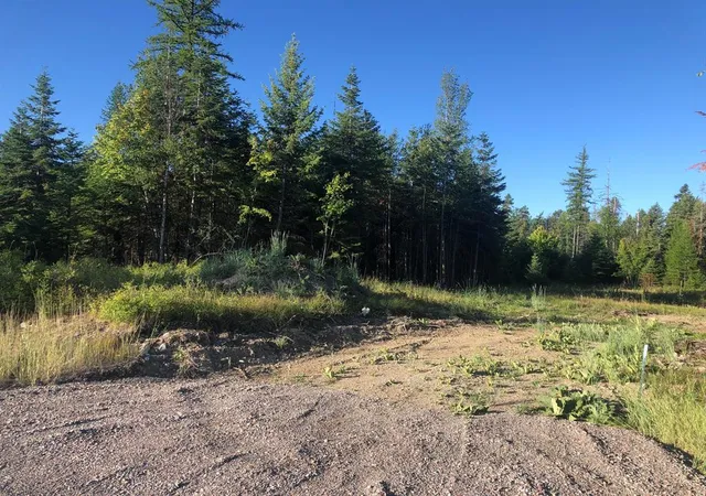Homes for sale in Bigfork, MT | 13523 Sundance Trl, Bigfork, MT 59911 | MLS# 30062248