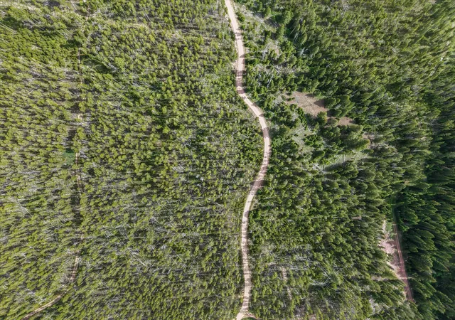 Photo 5 of Land for sale at Lot 3 Georgetown Lake Ests, Anaconda, MT 59711 | MLS# 30063379 | Listing updated on 2026-08-28