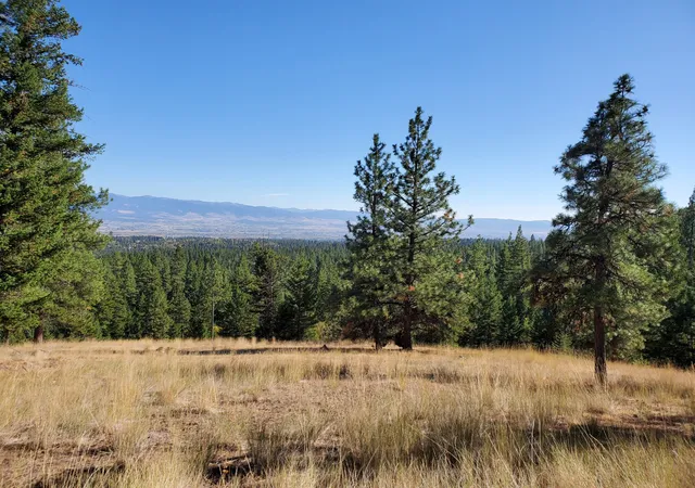 11th image of Na Elizabeth Rd, Victor, MT 59875 | MLS# 30063692