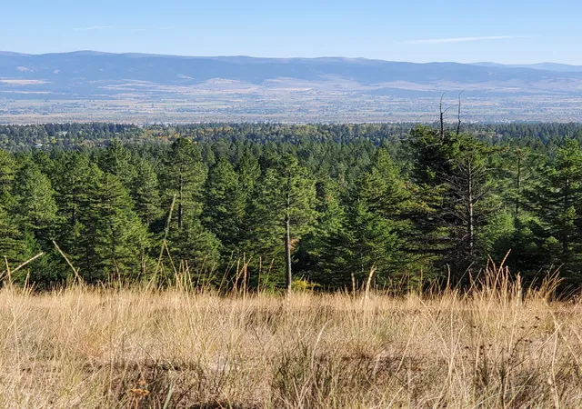 2nd image of Na Elizabeth Rd, Victor, MT 59875 | MLS# 30063692