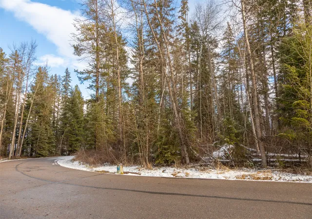 Homes for sale in Whitefish, MT | 295 Emerald Dr, Whitefish, MT 59937 | MLS# 30063798