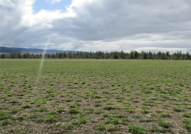 18th image of Nhn S Sunset Bench Rd, Stevensville, MT 59870 | MLS# 30063986