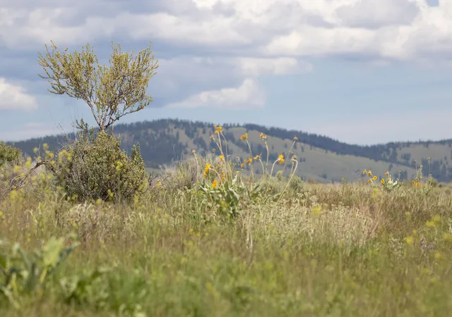 26th image of 7800 Browns Meadow Rd, Hot Springs, MT 59845 | MLS# 30064037