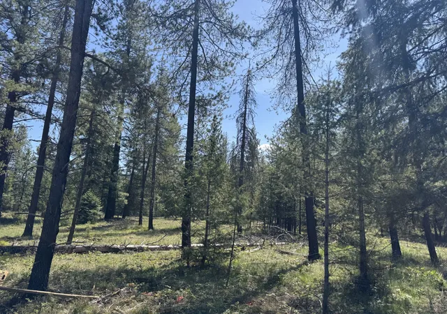 Homes for sale in Trout Creek, MT | Nhn Franko Ln, Trout Creek, MT 59874 | MLS# 30064083