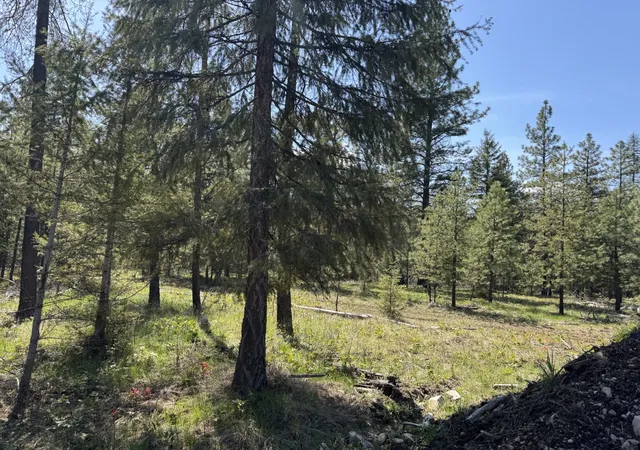 Homes for sale in Trout Creek, MT | Nhn Franko Ln, Trout Creek, MT 59874 | MLS# 30064083