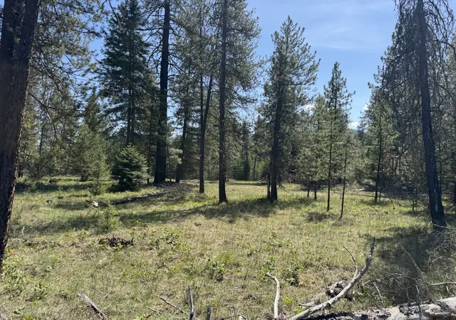 Homes for sale in Trout Creek, MT | Nhn Franko Ln, Trout Creek, MT 59874 | MLS# 30064083