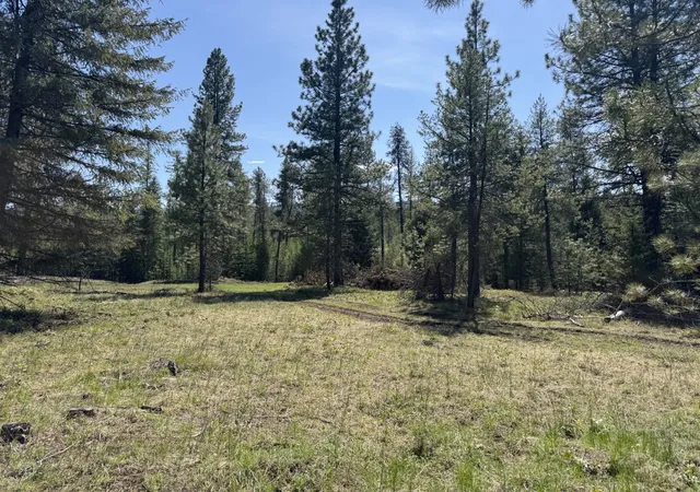 Homes for sale in Trout Creek, MT | Nhn Franko Ln, Trout Creek, MT 59874 | MLS# 30064083