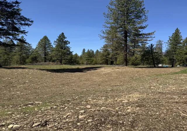 Homes for sale in Trout Creek, MT | Nhn Franko Ln, Trout Creek, MT 59874 | MLS# 30064083