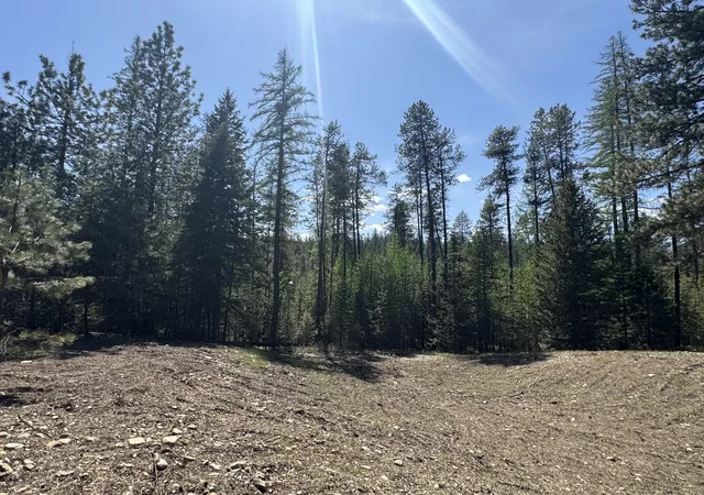 Homes for sale in Trout Creek, MT | Nhn Franko Ln, Trout Creek, MT 59874 | MLS# 30064083