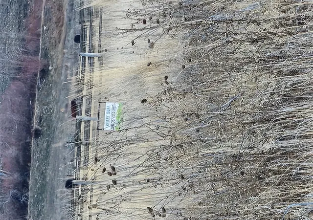 37th image of Nhn Grant Ln, Hamilton, MT 59840 | MLS# 30063980