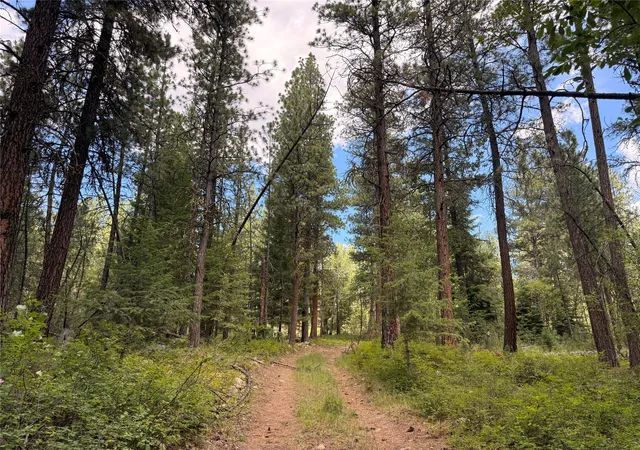 1st image of 512 Lookout Trl, Stevensville, MT 59870 | MLS# 30064082