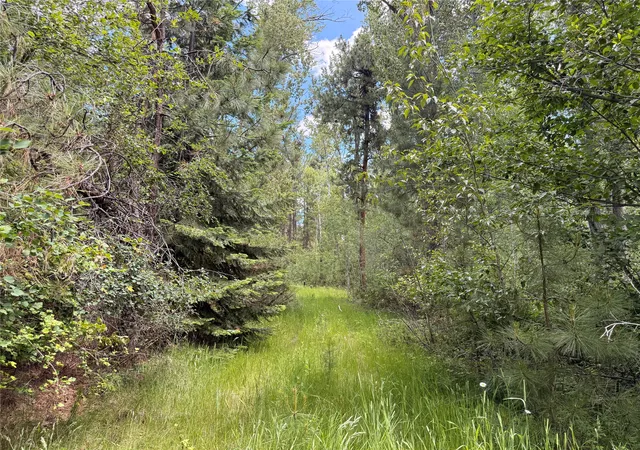 3rd image of 512 Lookout Trl, Stevensville, MT 59870 | MLS# 30064082